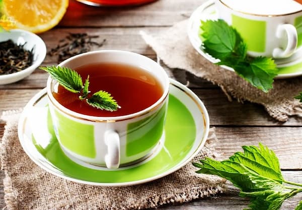 خرید پونه کوهی اصل + قیمت فروش استثنایی